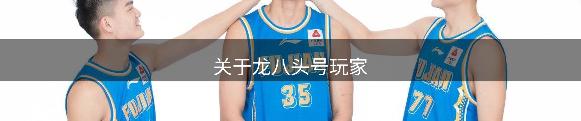关于龙八头号玩家